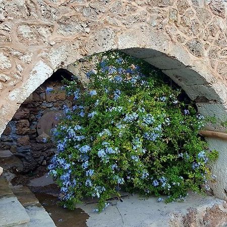 Tania Village Zakros Maisonette Dış mekan fotoğraf