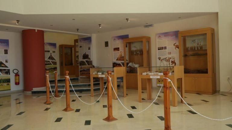 Tania Village Zakros Maisonette Dış mekan fotoğraf