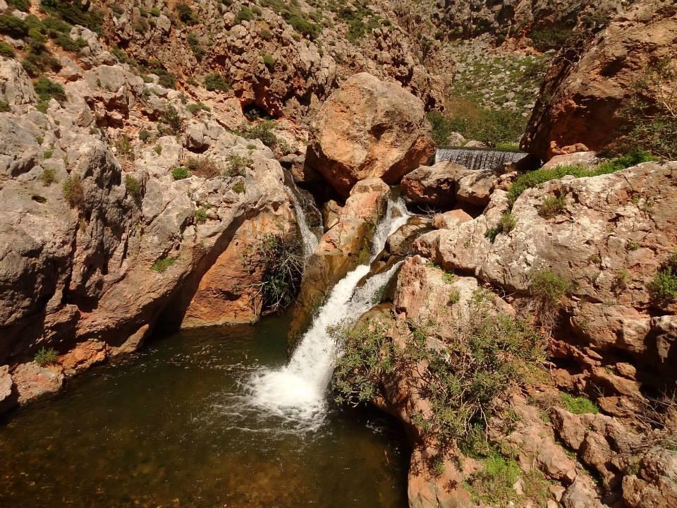Tania Village Zakros Maisonette Dış mekan fotoğraf