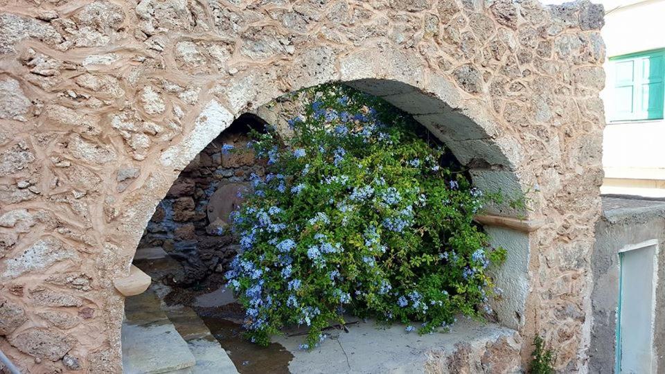 Tania Village Zakros Maisonette Dış mekan fotoğraf